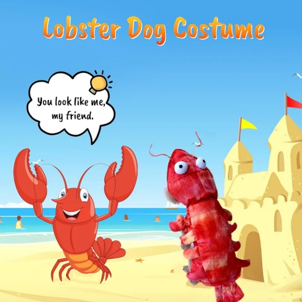 Lobster Dog Costume, Size Medium, NWOT